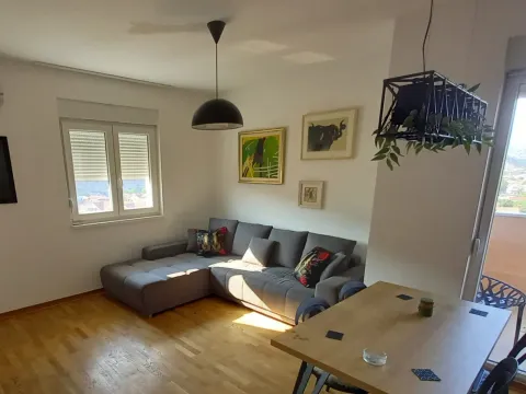 Izdavanje, jednosoban stan, 47m², Zagorič, Podgorica - image 3