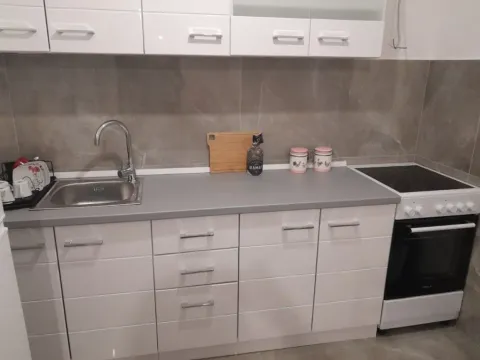 Izdavanje, jednosoban stan, 43m², Zabjelo, Podgorica - image 13