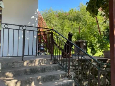 Rent, house, 100m², Centar, Cetinje - image 10