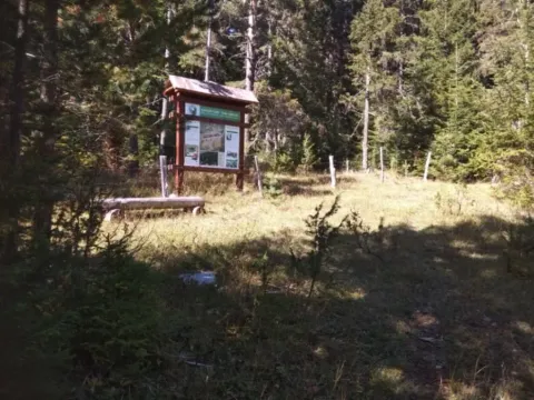 Sale, land lot, 17803m², Podgora, Žabljak - image 9