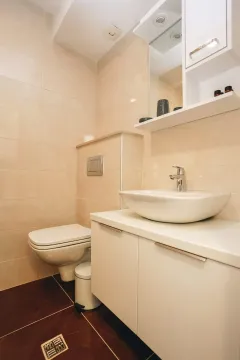 Moderno opremljeno kupatilo sa umivaonikom i toaletom. - image 6