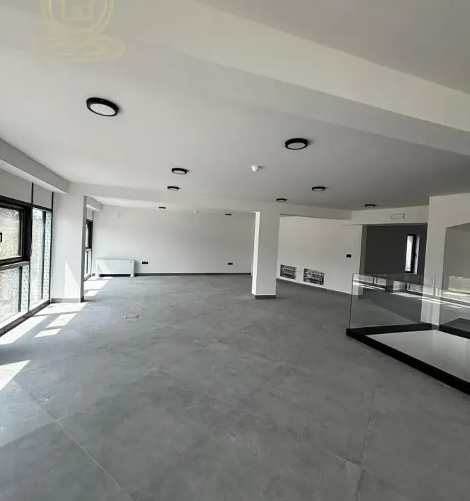 Izdavanje, poslovni prostor, 550m², Medijana, Niš