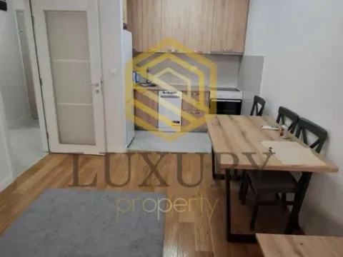 Izdavanje, jednosoban stan, 50m², Central Point, Podgorica - image 3