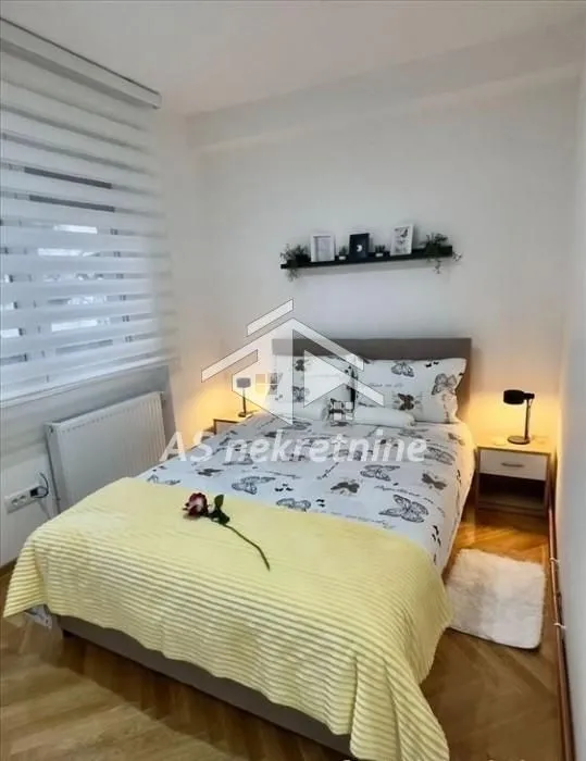 Izdavanje, dvosoban stan, 42m², Vračar Sve Podlokacije, Beograd