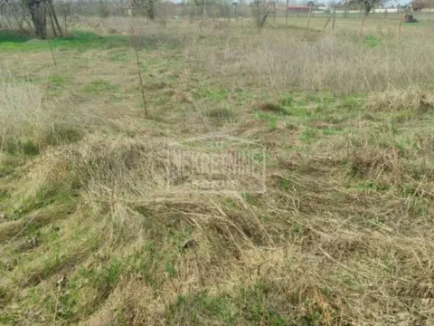Prodaja, plac, 1440m², Kelebija, Subotica - image 4