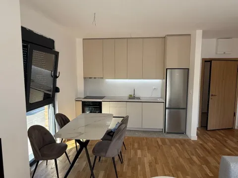 Rent, one bedroom apartment, 45m², Zagorič, Podgorica - image 3