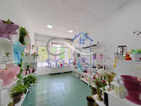 Rent, office space, 31m², Socijalno, Novi Sad Sve Podlokacije - image 10