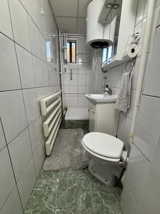 Manje kupatilo sa tuš kabinom, umivaonikom i toaletom obloženo keramičkim pločicama.