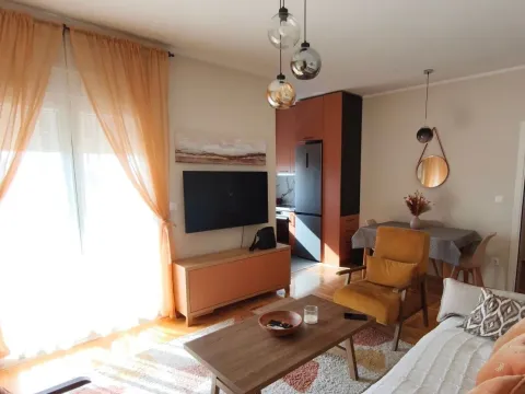 Rent, one bedroom apartment, 48m², Zabjelo, Podgorica - image 3