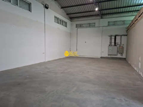Izdavanje, poslovni prostor, 650m², Altina, Beograd - image 6