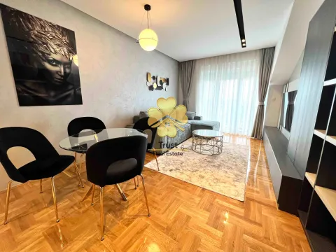 Izdavanje, jednosoban stan, 50m², Stari Aerodrom, Podgorica - image 2