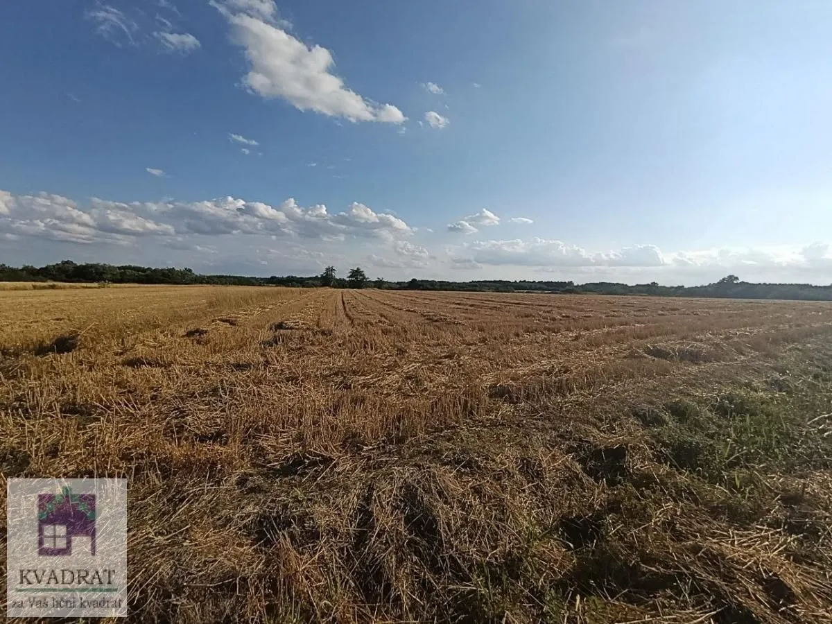 Prodaja, plac, 26300m², Trstenica, Obrenovac