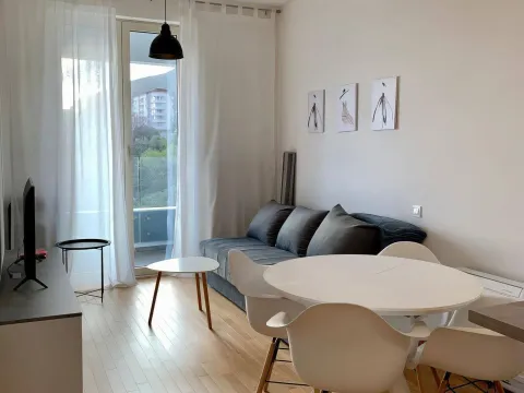 Izdavanje, jednosoban stan, 49m², Bečići, Budva - image 2