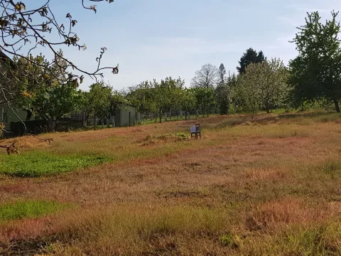 Prodaja, plac, 1700m², Fruška Gora, Novi Sad - image 7