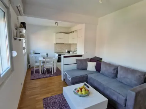 Rent, one bedroom apartment, 45m², Drač, Podgorica - image 2