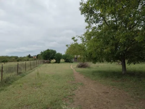 Prodaja, plac, 5400m², Veliki Radanovac, Subotica - image 3