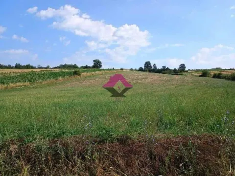 Sale, land lot, Lazarevac, Beograd