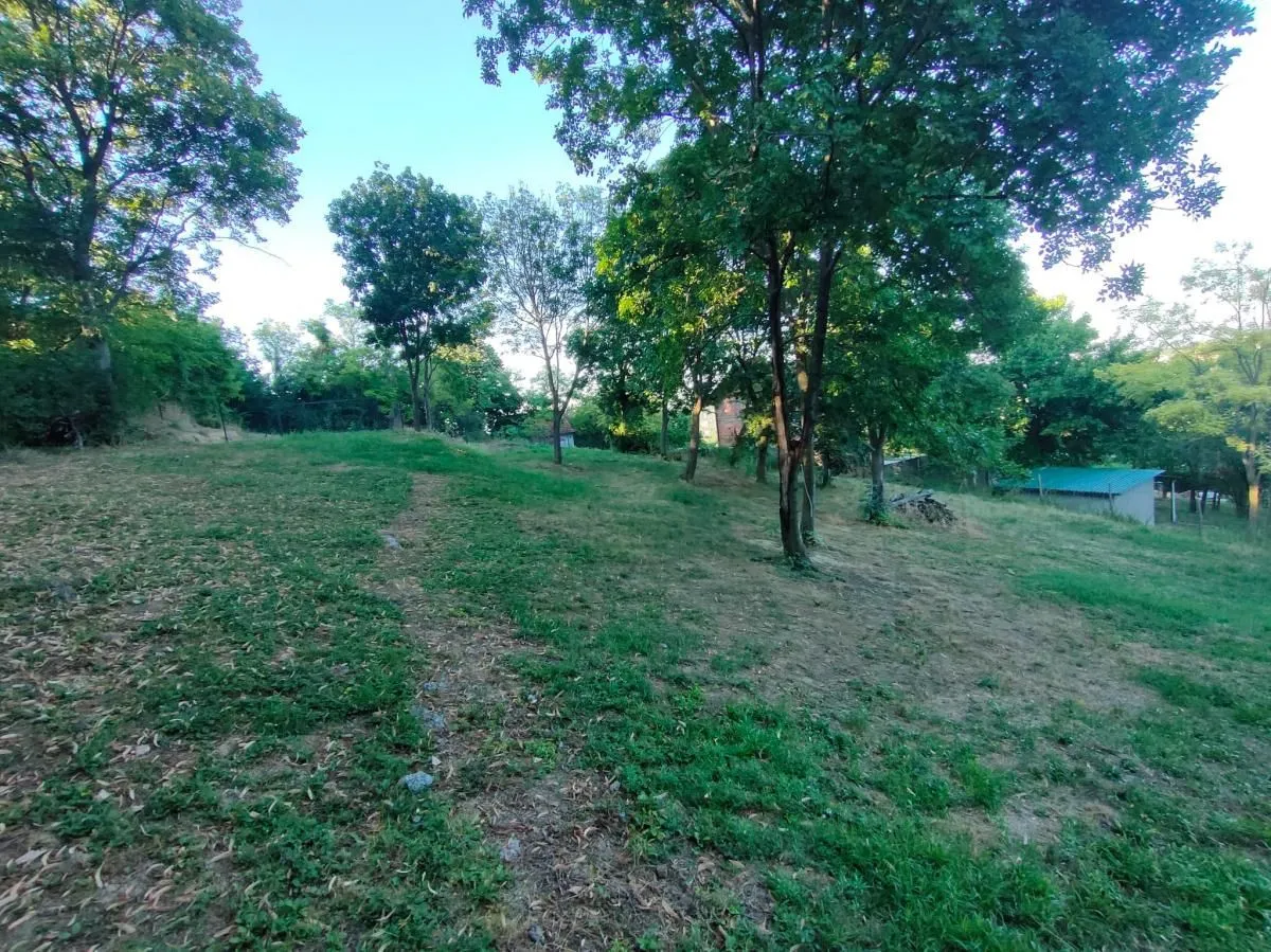 Prodaja, plac, 1900m², Sremska Kamenica, Petrovaradin