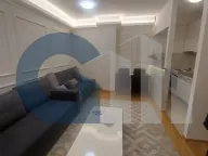 Izdavanje, jednosoban stan, 31m², Vračar Hram, Vračar Sve Podlokacije - image 2