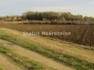 Prodaja, plac, 604m², Sremska Mitrovica, Srbija - image 3