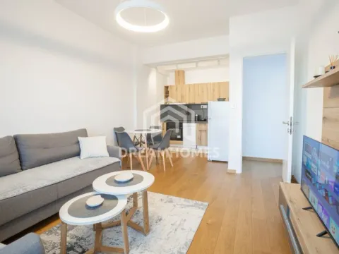 Rent, one bedroom apartment, 59m², Stara Varoš, Podgorica - image 3