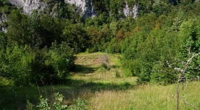 Prodaja, plac, 45500m², Plužine, Crna Gora