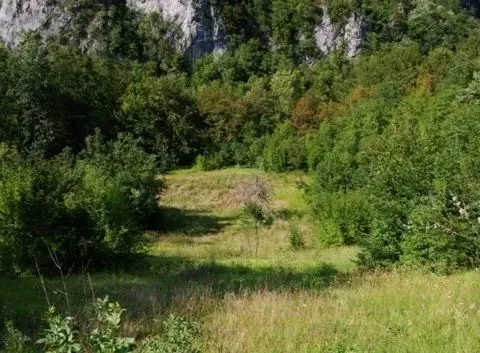 Prodaja, plac, 45500m², Plužine, Crna Gora - image 2
