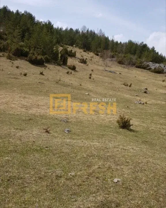 Prodaja, plac, 28450m², Žabljak, Crna Gora