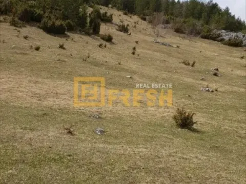 Prodaja, plac, 28450m², Žabljak, Crna Gora