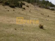 Prodaja, plac, 28450m², Žabljak, Crna Gora - image 1