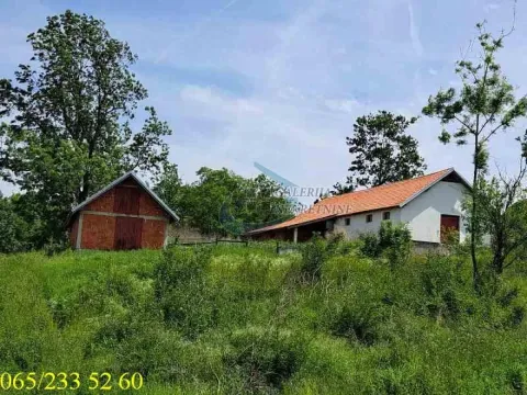 Pogled na seosko imanje sa pomoćnim objektima i zelenilom. - image 13