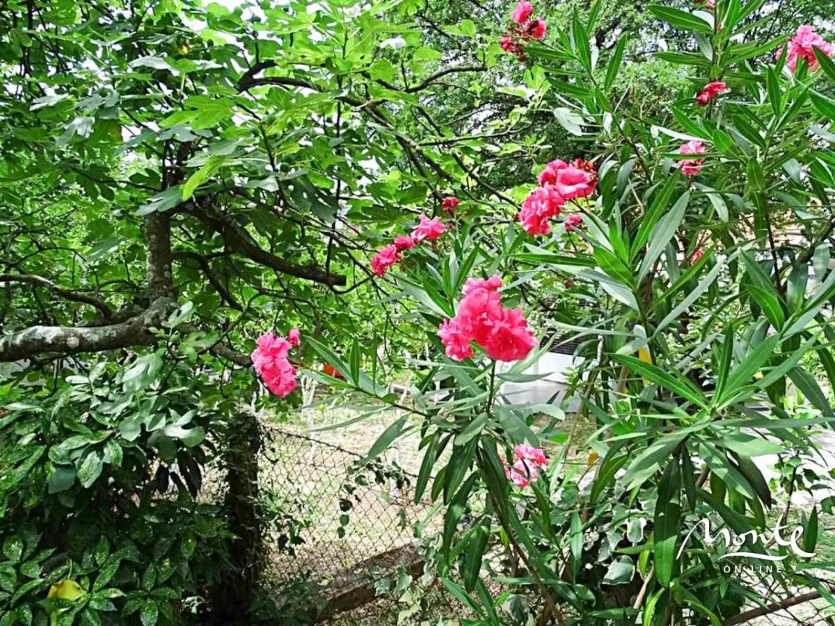 Sale, house, 78m², Orahovac, Kotor