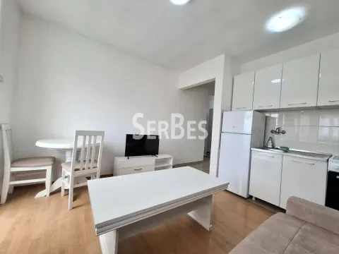 Izdavanje, jednosoban stan, 27m², Detelinara, Novi Sad Sve Podlokacije - image 4
