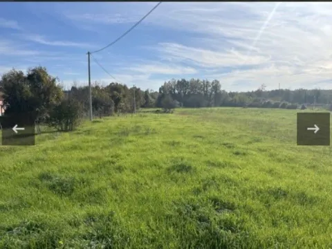 Prodaja,  zemljište, 2257m2, Novo Selo, Danilovgrad