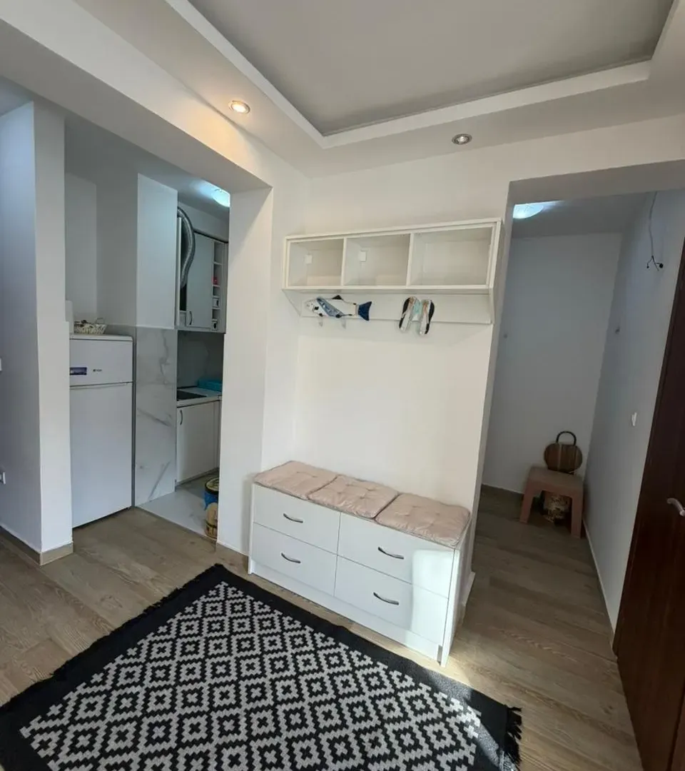 Rent, one bedroom apartment, 45m², Velji Vinogradi, Budva