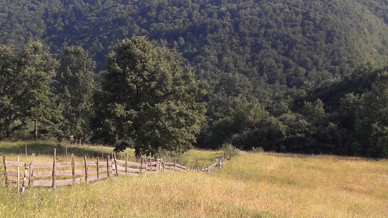 Sale, land lot, 4744m², Centar, Čajetina