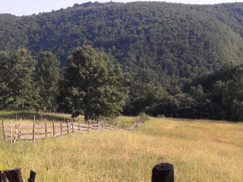 Zemljište in Centar