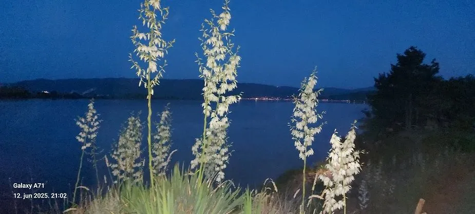 Prodaja, kuća, 90m², Vinci, Golubac