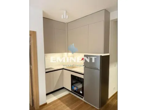 Rent, two bedroom apartment, 33m², Vračar Hram, Vračar Sve Podlokacije - image 3