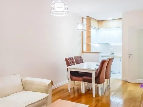 Izdavanje, jednosoban stan, 47m², Central Point, Podgorica - image 11