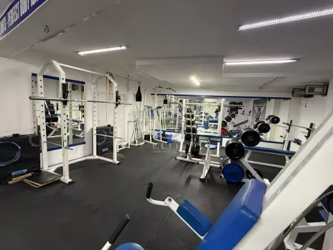 Izdavanje, poslovni prostor, 155m², Socijalno, Novi Sad Sve Podlokacije - image 10