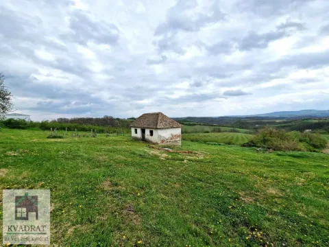 Prodaja, plac, 14000m², Pambukovica, Ub - image 6