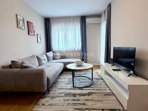 Rent, one bedroom apartment, 50m², Central Point, Podgorica - image 1