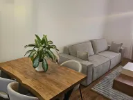 Izdavanje, jednosoban stan, 46m², Stari Aerodrom, Podgorica - image 3