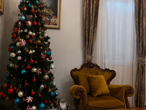 Prodaja, dvosoban stan, 68m², Centar, Podgorica - image 3