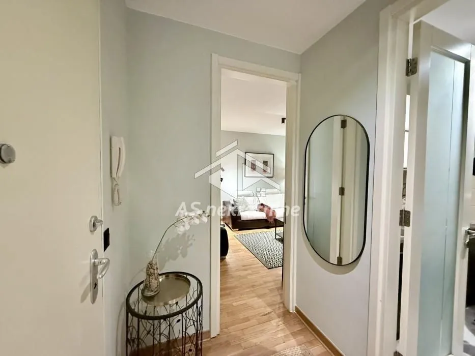 Rent, two bedroom apartment, 62m², Novi Beograd Blok 67, Novi Beograd Sve Podlokacije
