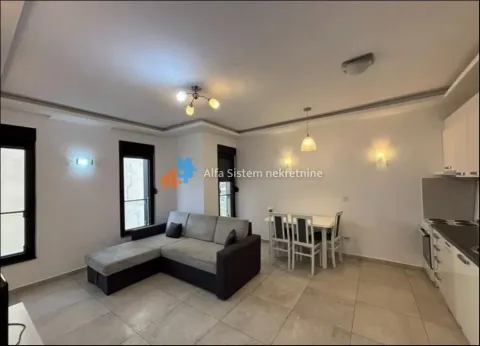 Rent, three bedroom apartment, 55m², Južni Bulevar, Vračar Sve Podlokacije - image 3