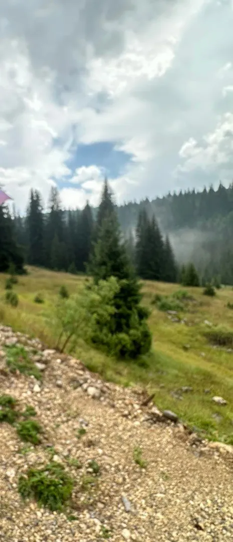 Prodaja, plac, 170000m², Žabljak II, Žabljak