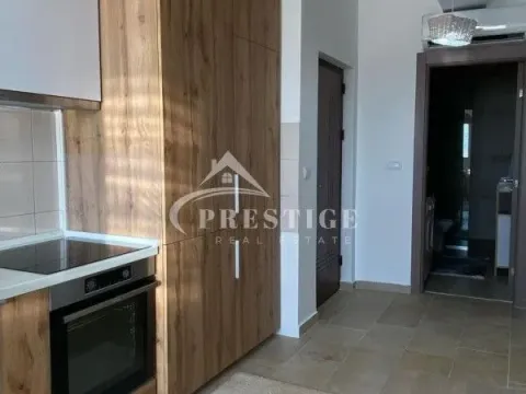 Izdavanje, jednosoban stan, 45m², Stari Aerodrom, Podgorica - image 4