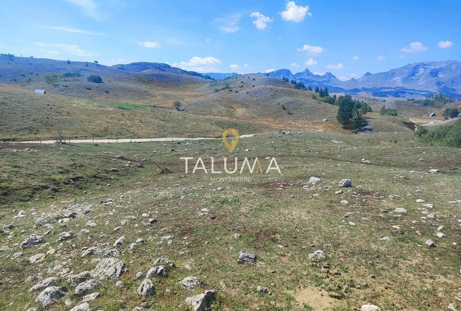 Prodaja, plac, 65000m², Žabljak, Crna Gora